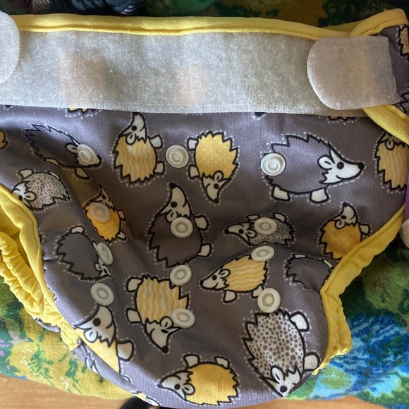Cloth Diaper Bundle - Picture 8 of 9
